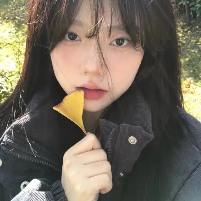 我最爱的女人们
