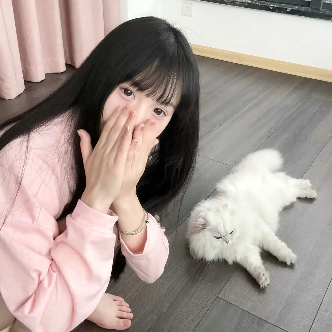 春风满锦城